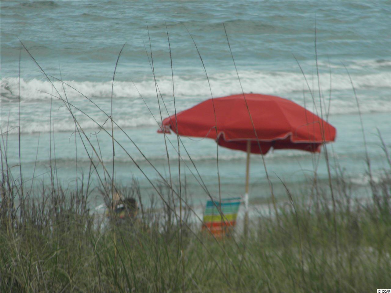0 Tucker Road Pawleys Island, SC 29585 - Photo 18 of 25 Gallery Image 18