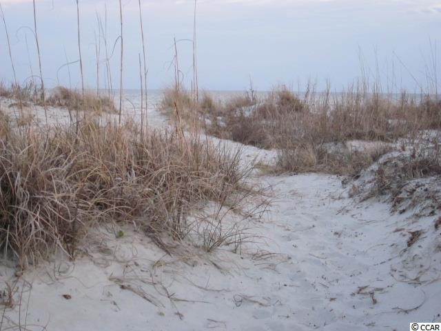 0 Tucker Road Pawleys Island, SC 29585 - Photo 19 of 25 Gallery Image 19