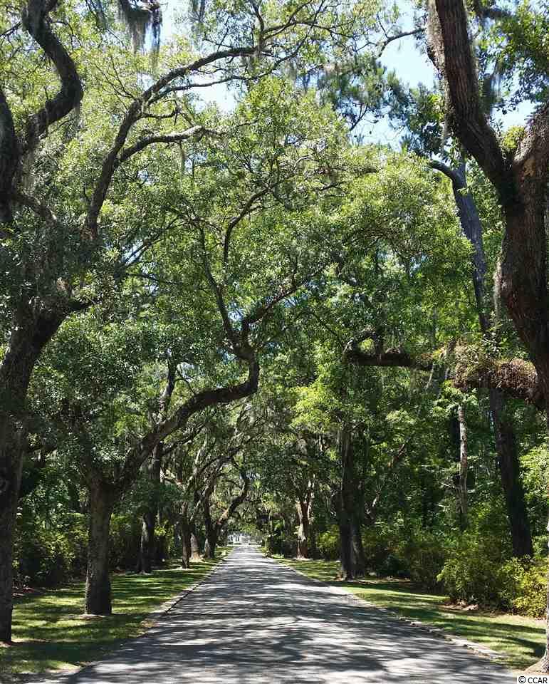 0 Tucker Road Pawleys Island, SC 29585 - Photo 4 of 25 Gallery Image 4
