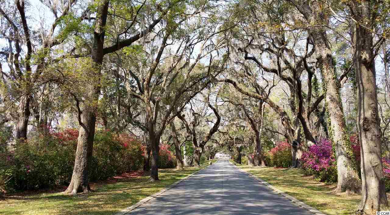 0 Tucker Road Pawleys Island, SC 29585 - Photo 5 of 25 Gallery Image 5