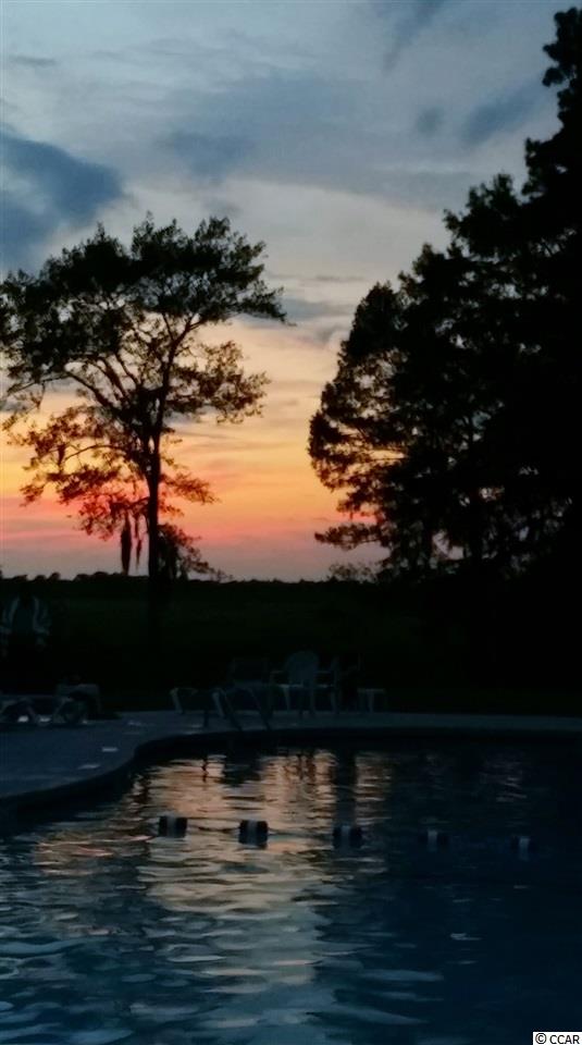 0 Tucker Road Pawleys Island, SC 29585 - Photo 9 of 25 Gallery Image 9
