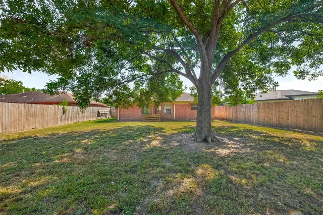 a view of a yard with tree s