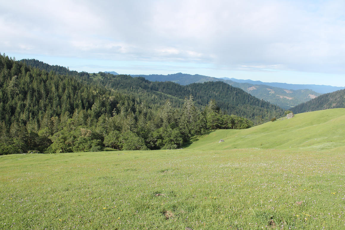 30855 Alderpoint Road, Unit MORE SEE REMARKS Blocksburg, CA 95514 - Photo 18 of 19