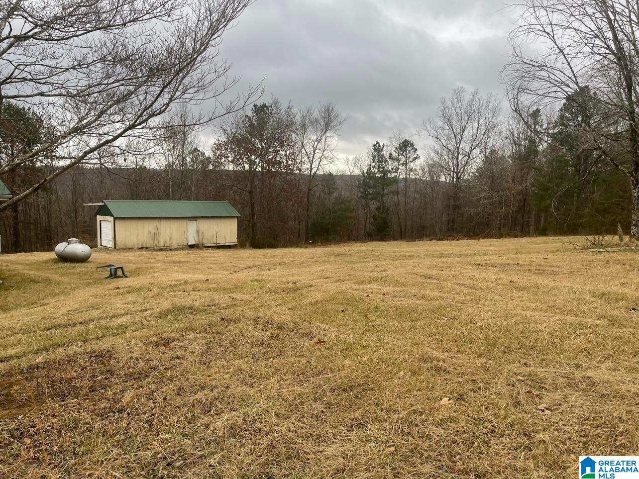 453 Sunhill Road Remlap, AL 35133 - Photo 2 of 12