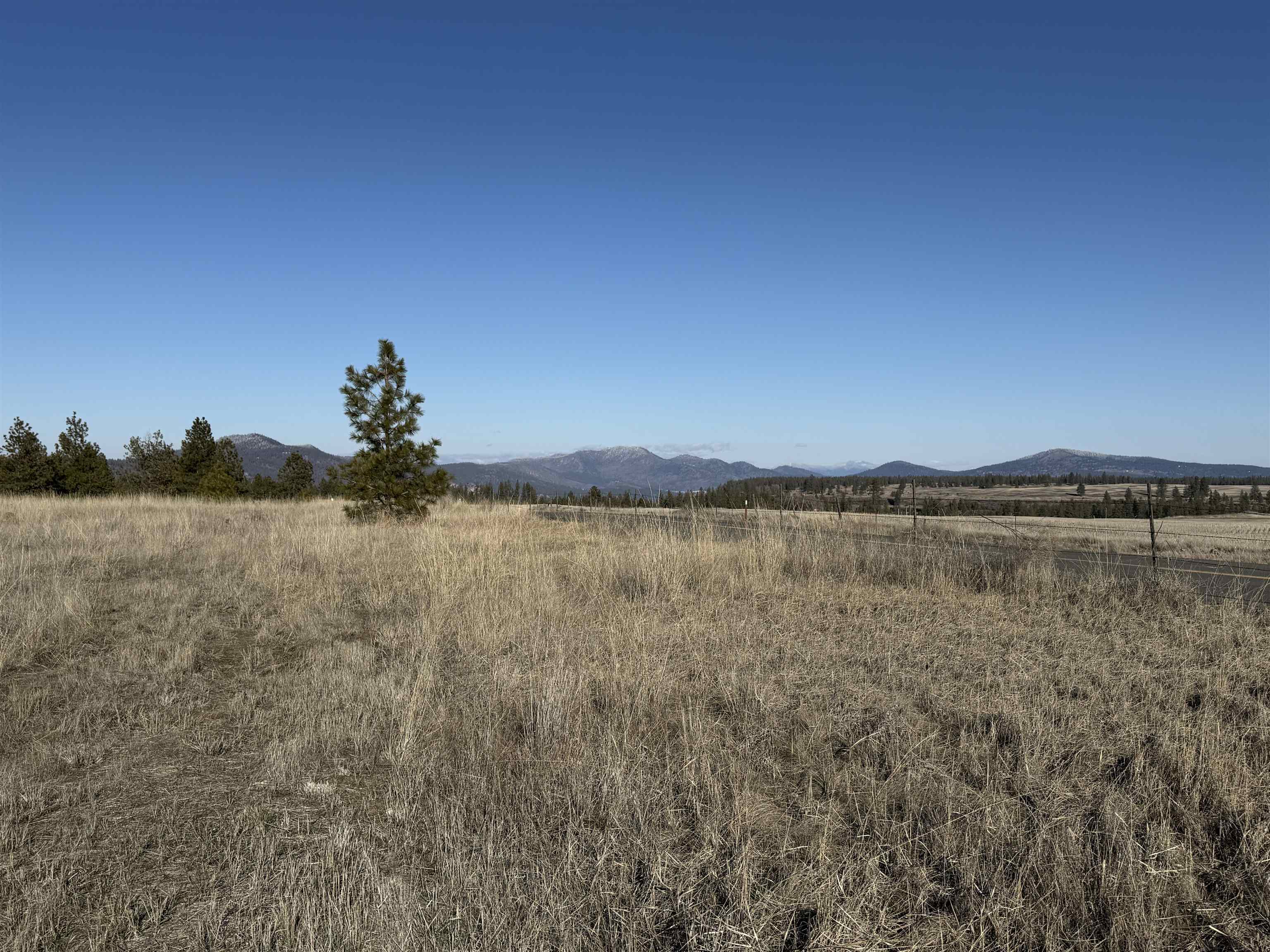 15211 North Wood Road Ford, WA 99013 - Photo 9 of 36