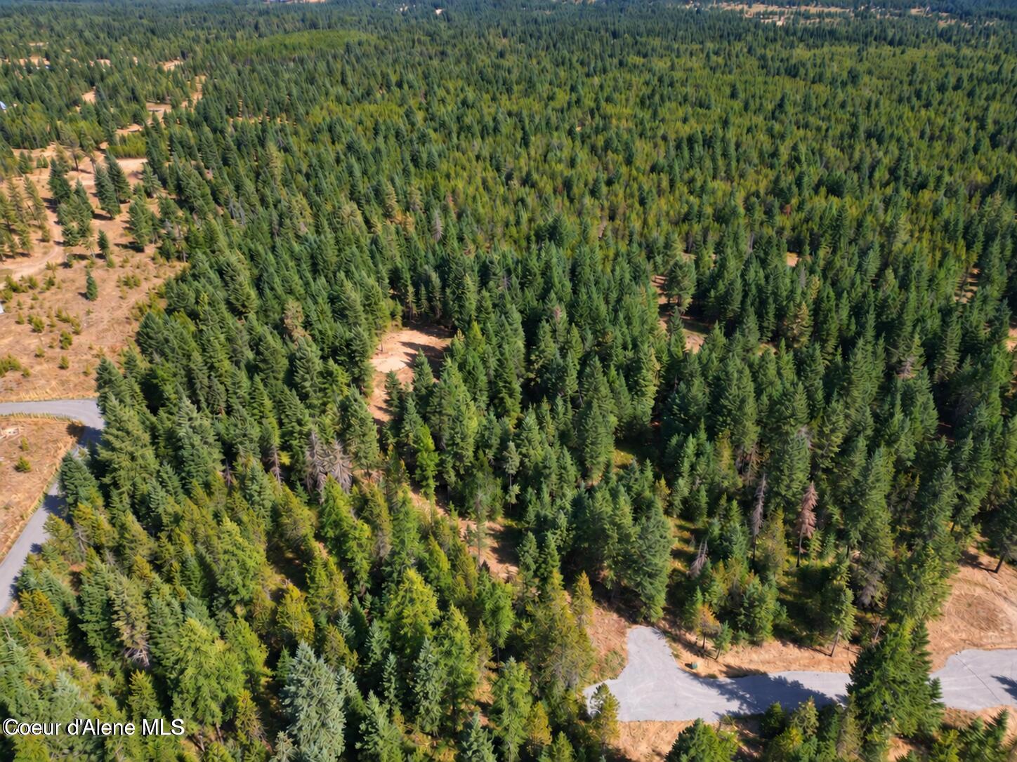 Lot 3 North Werre Road Rathdrum, ID 83858 - Photo 18 of 20 werre rd