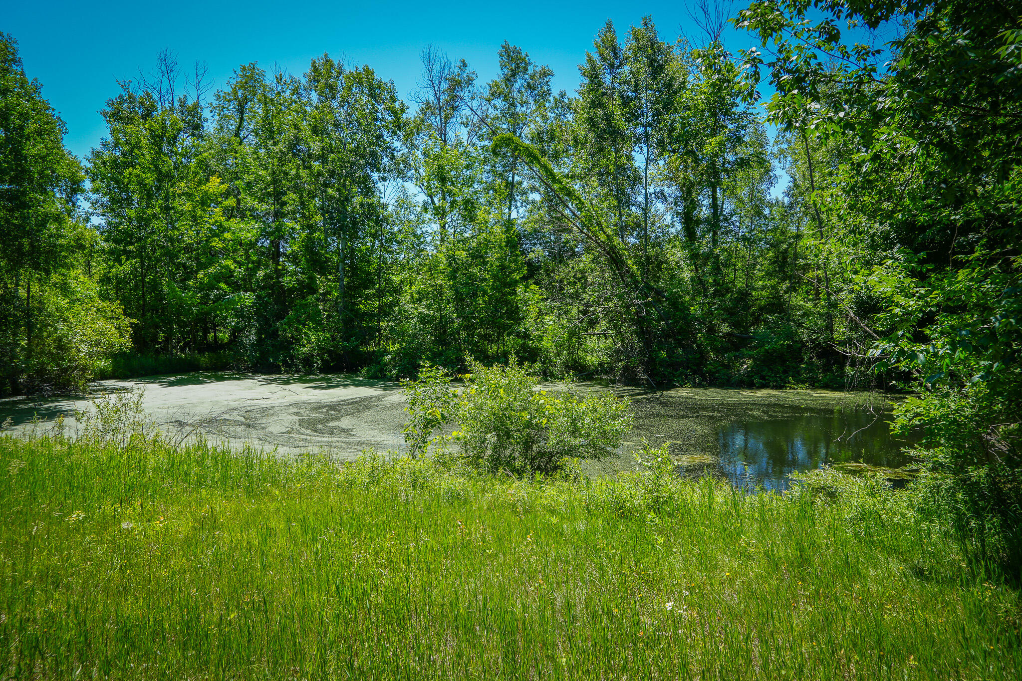 131.43 East Hazel Road Hart, MI 49420 - Photo 83 of 87 DSC00513