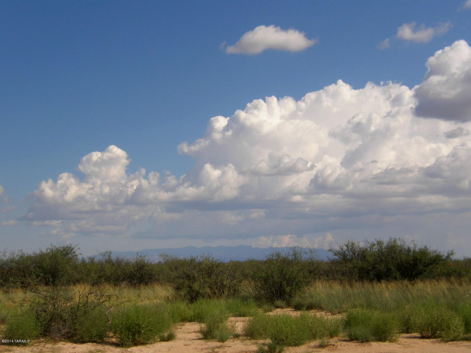 Tbd South Kansas Settlement Road Willcox, AZ 85643 - Photo 2 of 20