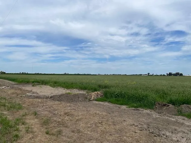 a view of a lake with mountain in the back