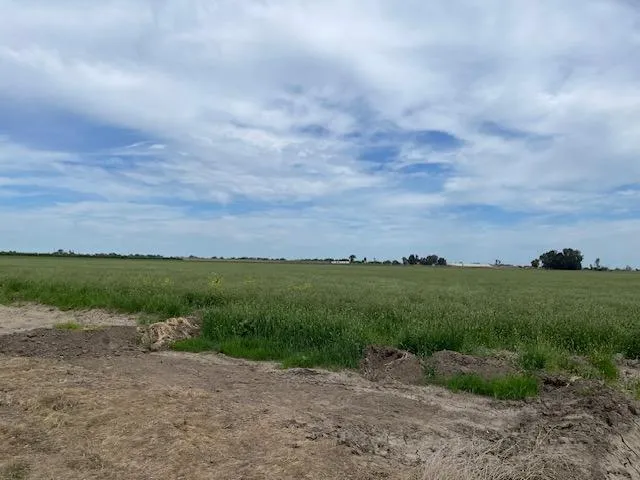 a view of a lake with a big yard