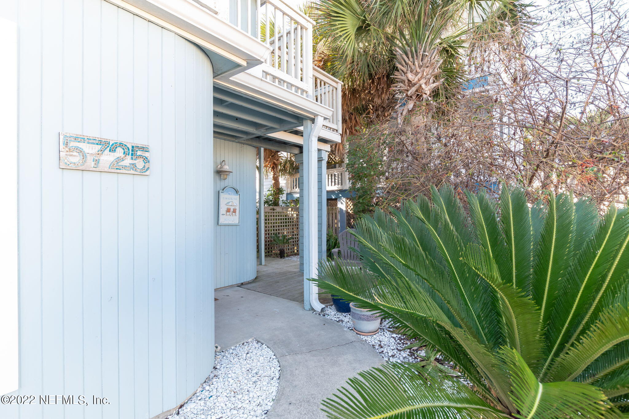 5725 Rudolph Avenue St. Augustine, FL 32080 - Photo 5 of 94 a view of a plant in a garden