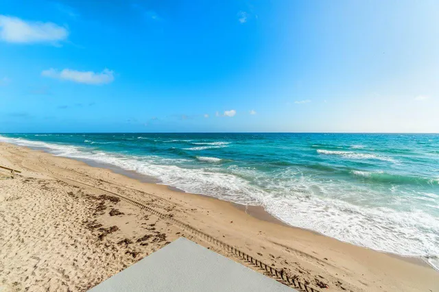 a view of back yard of the house