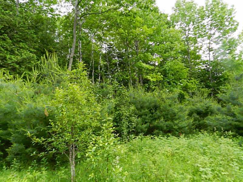 0 Sibley Pond Road Pittsfield, ME 04967 - Photo 10 of 16 Land.