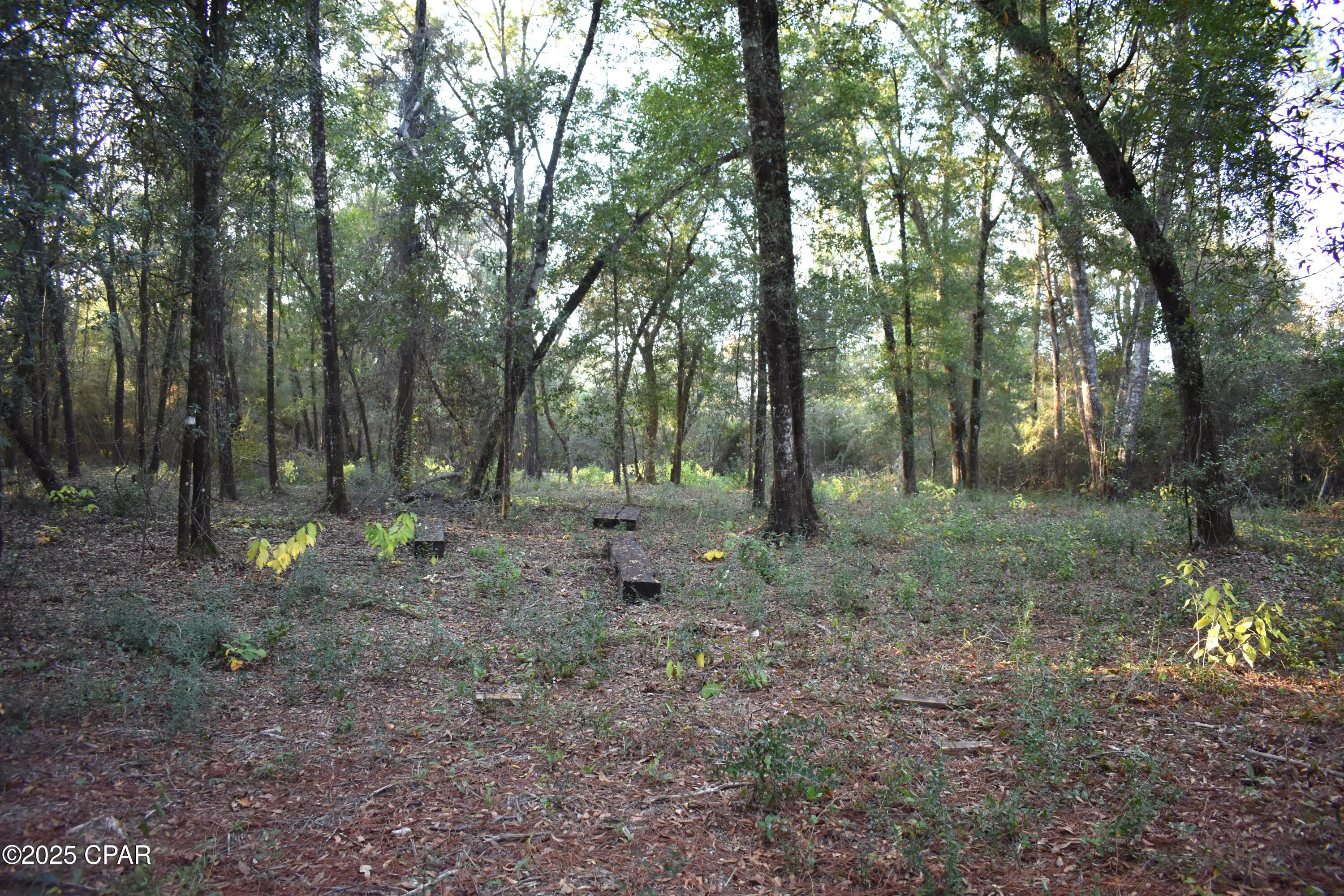 1808 Lakeview Road Caryville, FL 32427 - Photo 22 of 28 Gallery Image 22