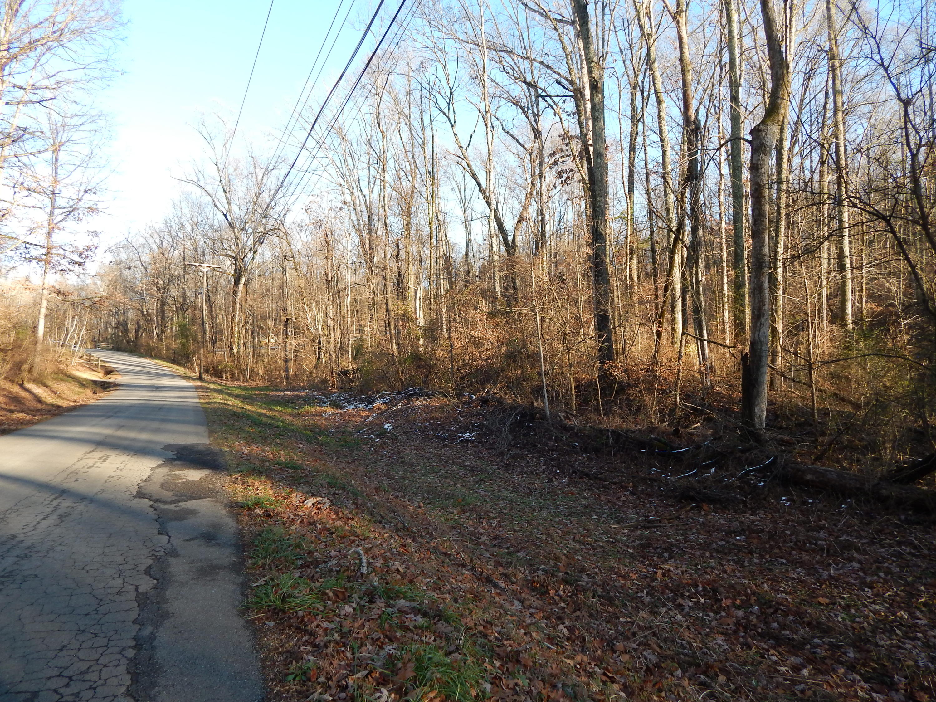 Freels Road Friendsville, TN 37737 - Photo 17 of 19 DSCN4339