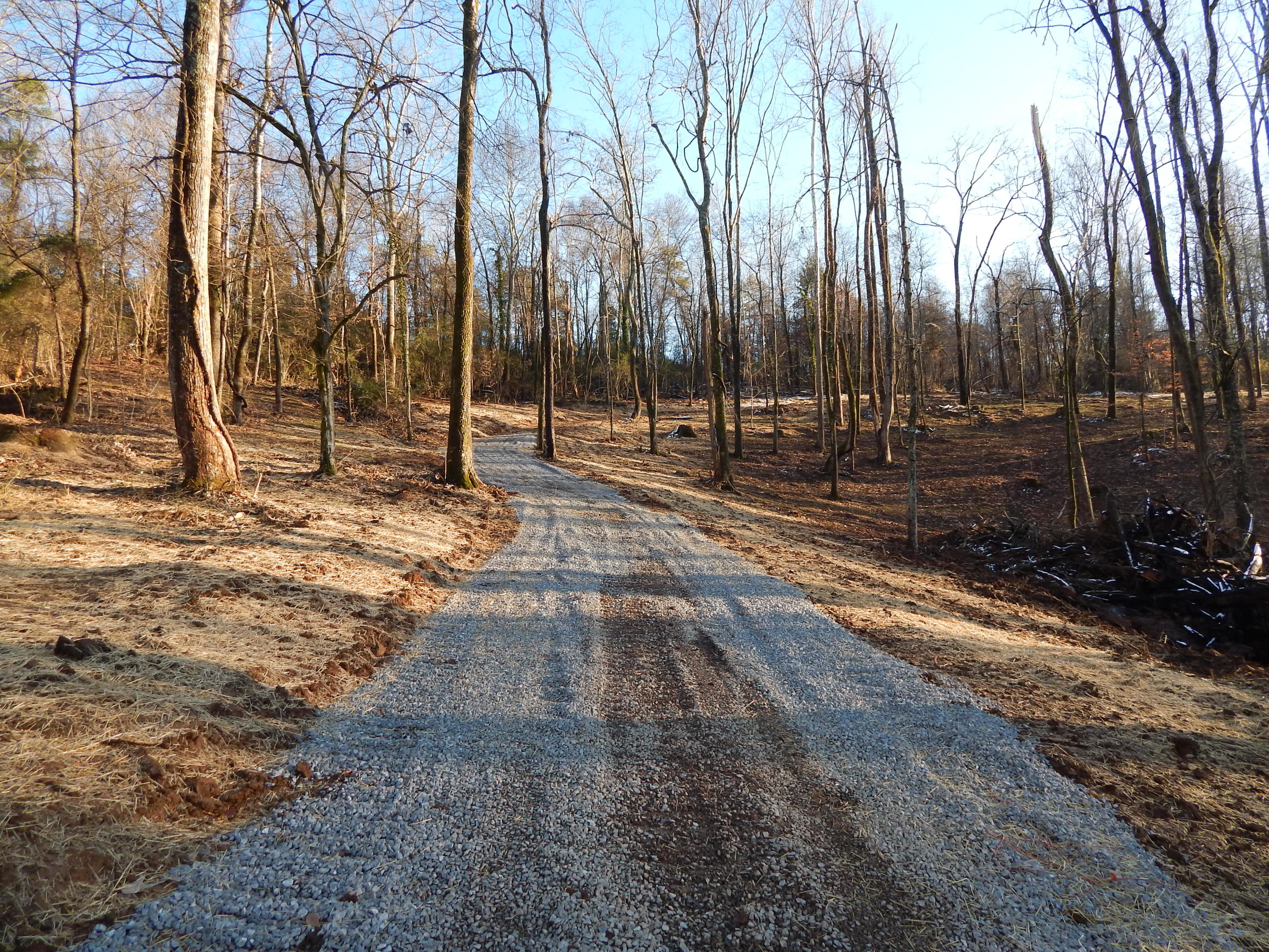 Freels Road Friendsville, TN 37737 - Photo 3 of 19 DSCN4344