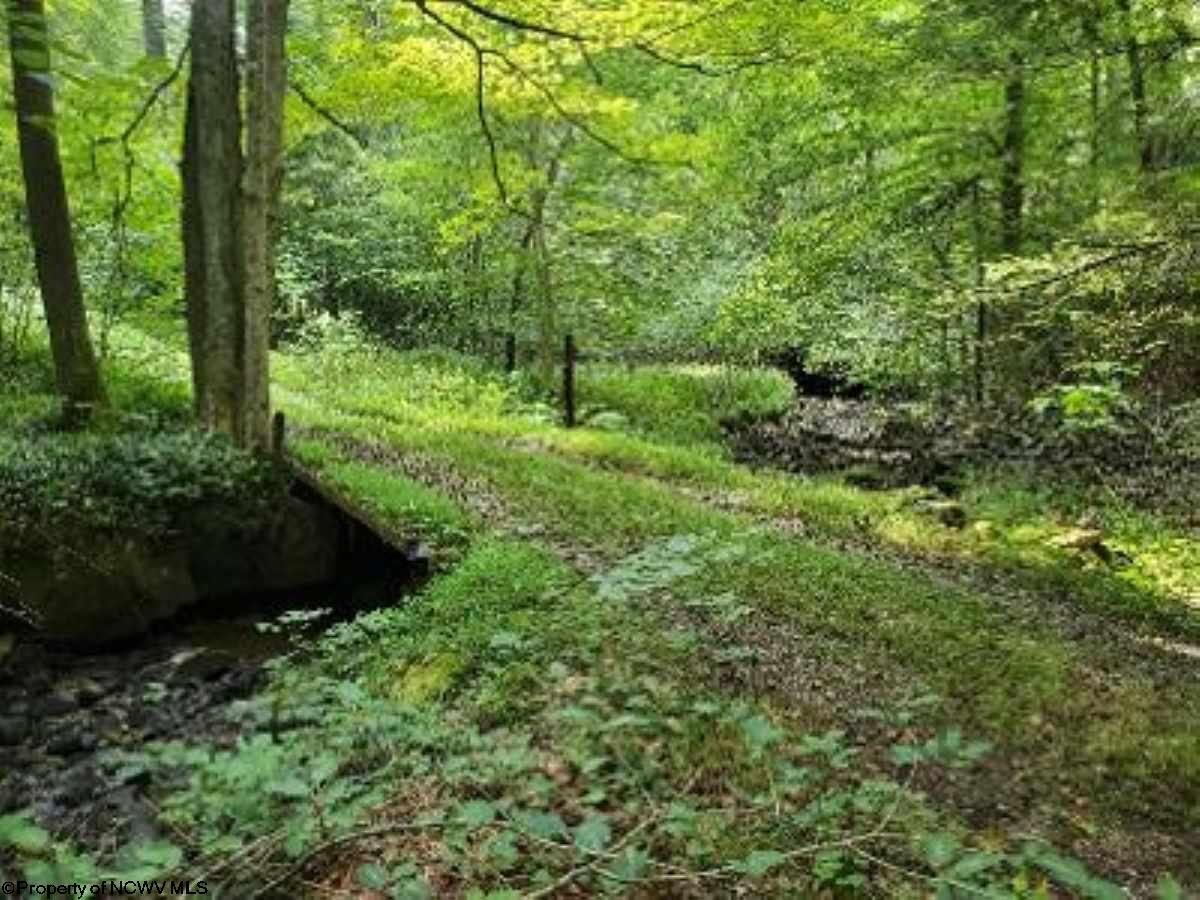 1835 Canaan Road Rock Cave, WV 26234 - Photo 13 of 13 Gallery Image 13