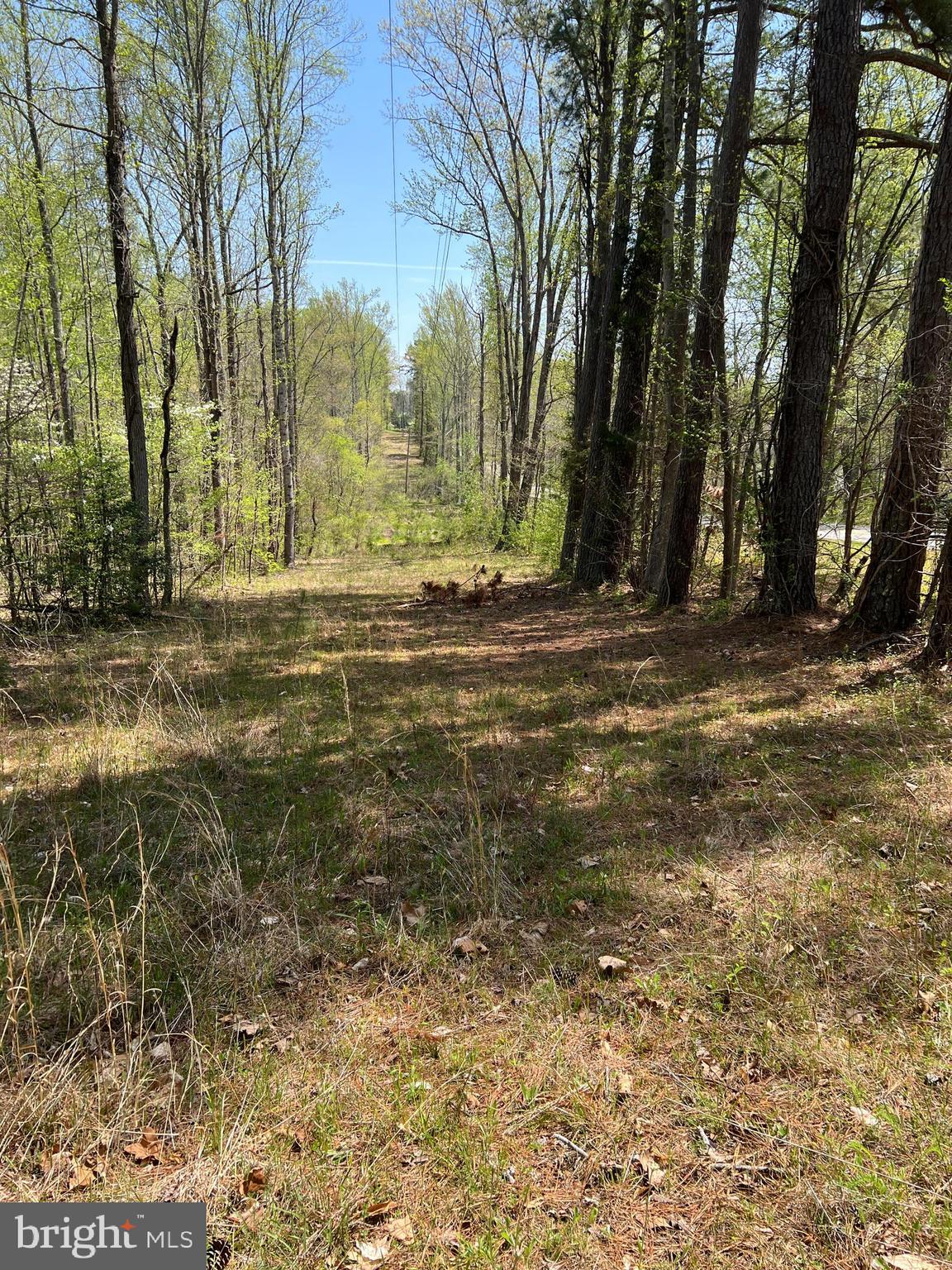 Lot 4-lo5 Lot 4-lo5 & Lane Gum Spring, VA 23065 - Photo 2 of 3 a view of outdoor space with trees