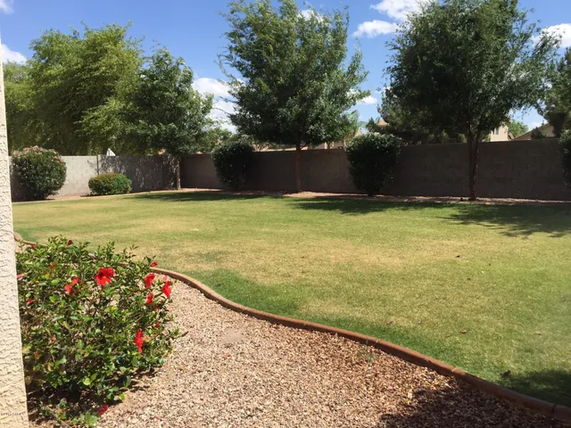 a view of a backyard