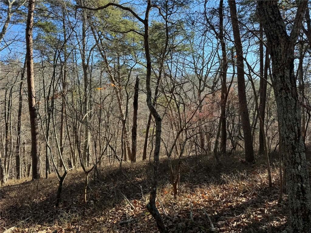 1493 Derby Court Northeast Ranger, GA 30734 - Photo 2 of 18