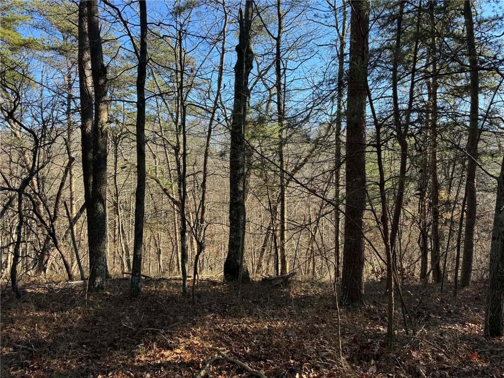 1493 Derby Court Northeast Ranger, GA 30734 - Photo 3 of 18