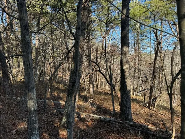 $14,900 | 1493 Derby Court Northeast, Ranger, GA 30734