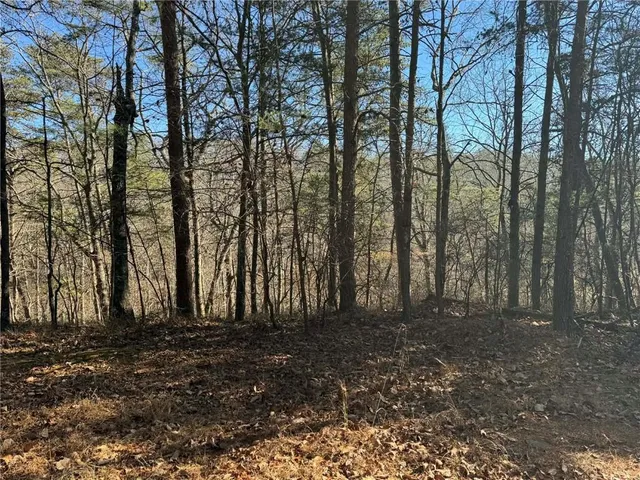 $14,900 | 1493 Derby Court Northeast, Ranger, GA 30734