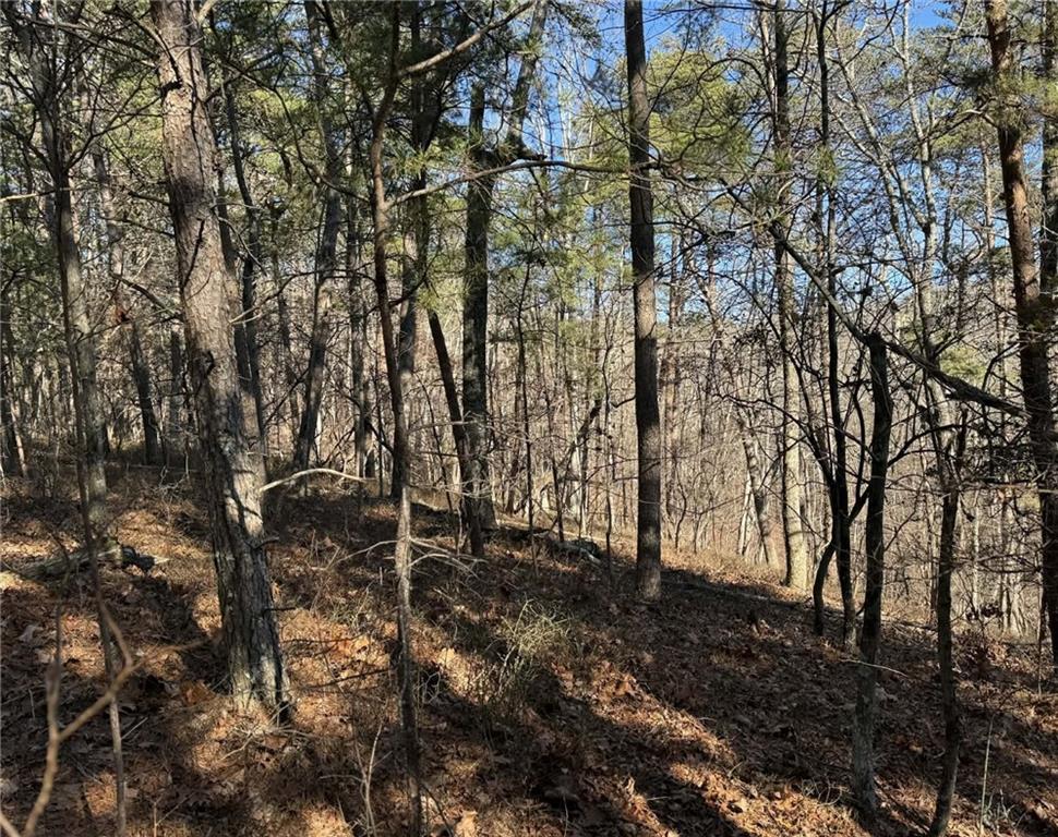 1493 Derby Court Northeast Ranger, GA 30734 - Photo 6 of 18