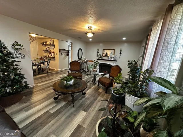 a living room with furniture and a potted plant