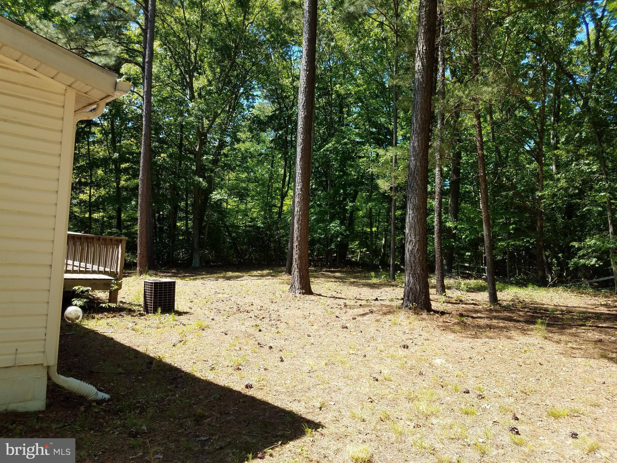 47686 Park Hall Road Park Hall, MD 20667 - Photo 24 of 30 Exterior (Rear)