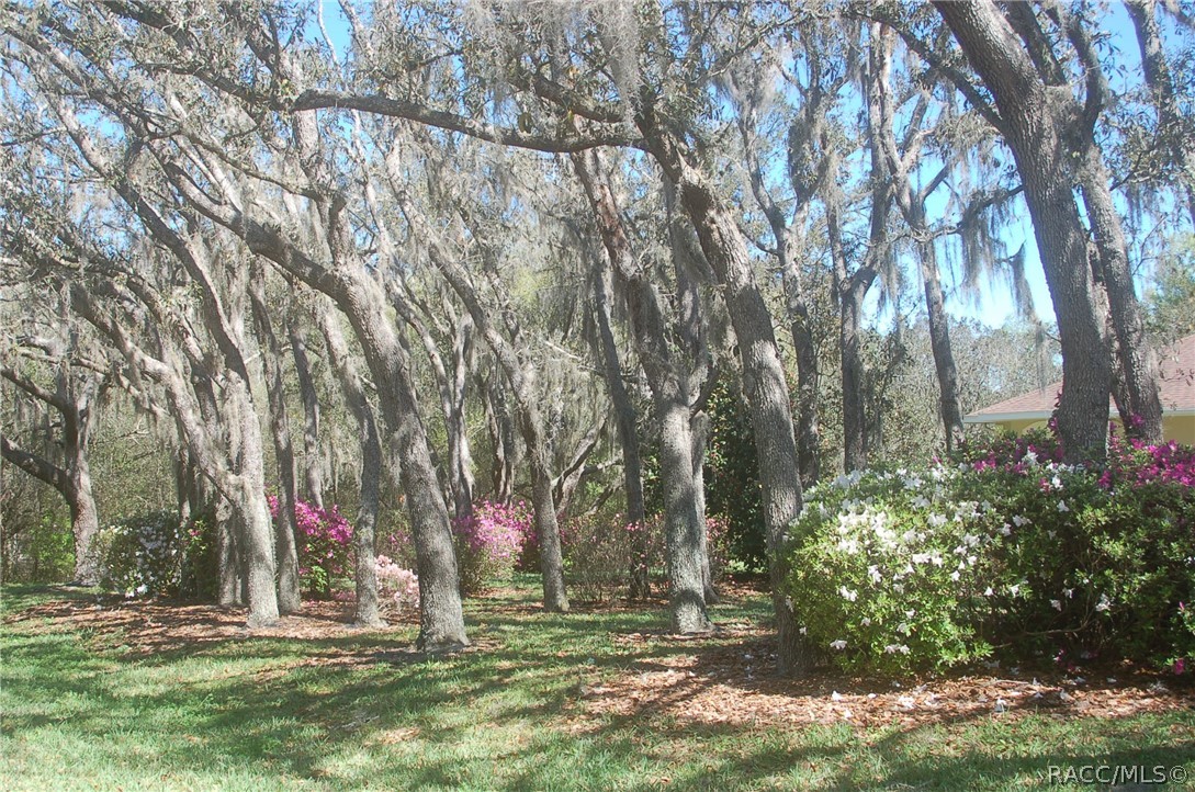 4161 North Longvalley Road Hernando, FL 34442 - Photo 67 of 71