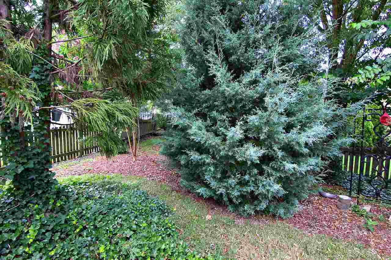 3507 Bright Horizons Way Raleigh, NC 27614 - Photo 23 of 25 Back Yard