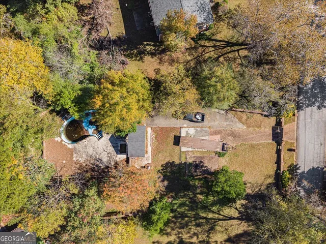 a view of a yard with plants and large trees