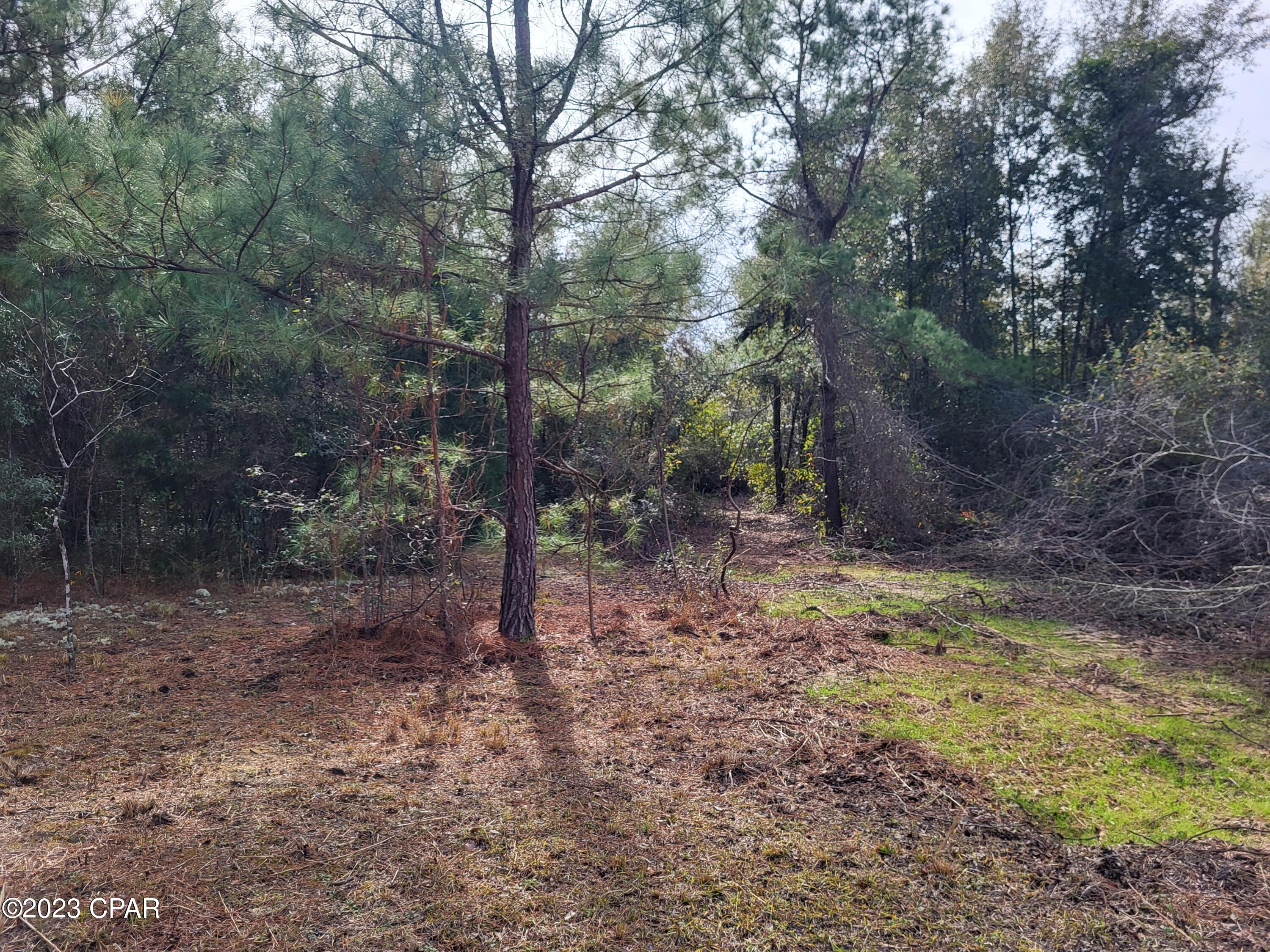 0 Northeast Morgan Tucker Road, Unit LOT 1 Altha, FL 32421 - Photo 23 of 27