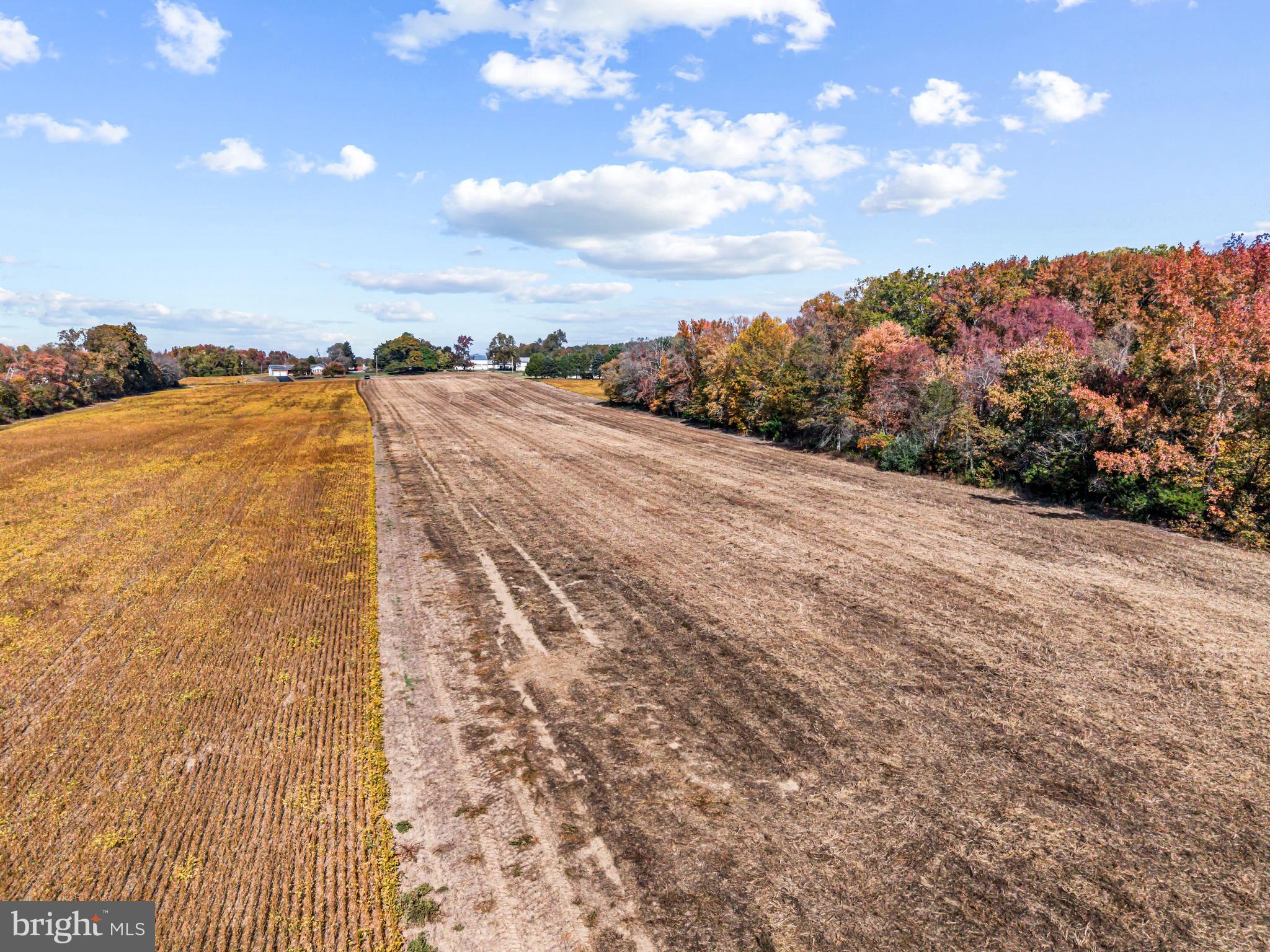 67 East Rattling Run Road Mickleton, NJ 08056 - Photo 8 of 11