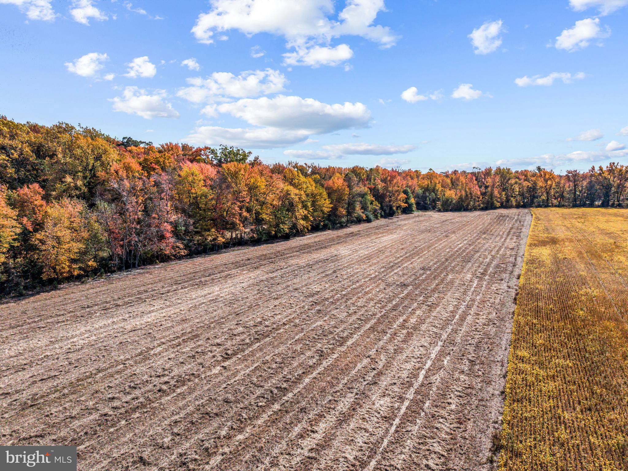 67 East Rattling Run Road Mickleton, NJ 08056 - Photo 9 of 11