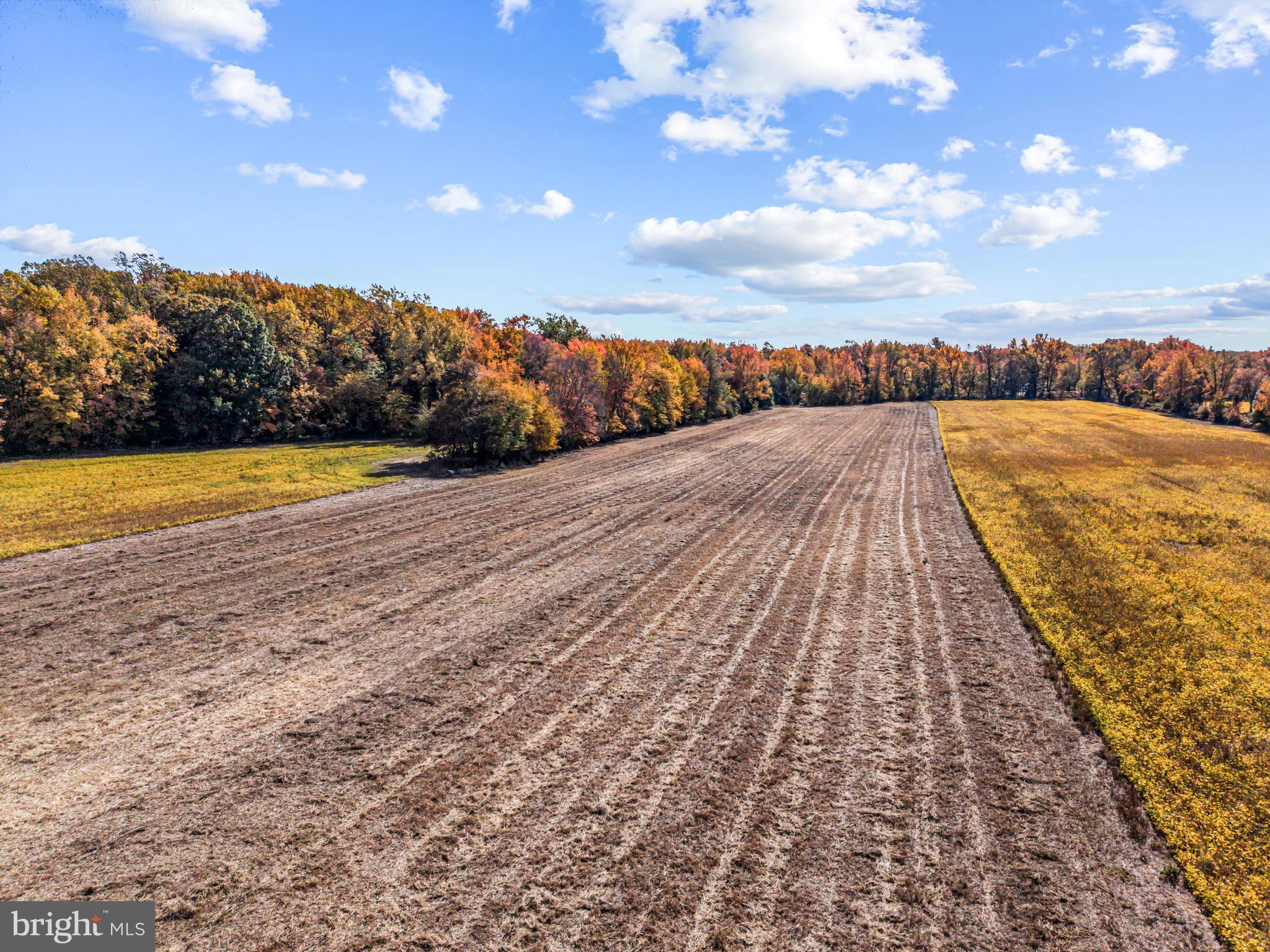 67 East Rattling Run Road Mickleton, NJ 08056 - Photo 10 of 11