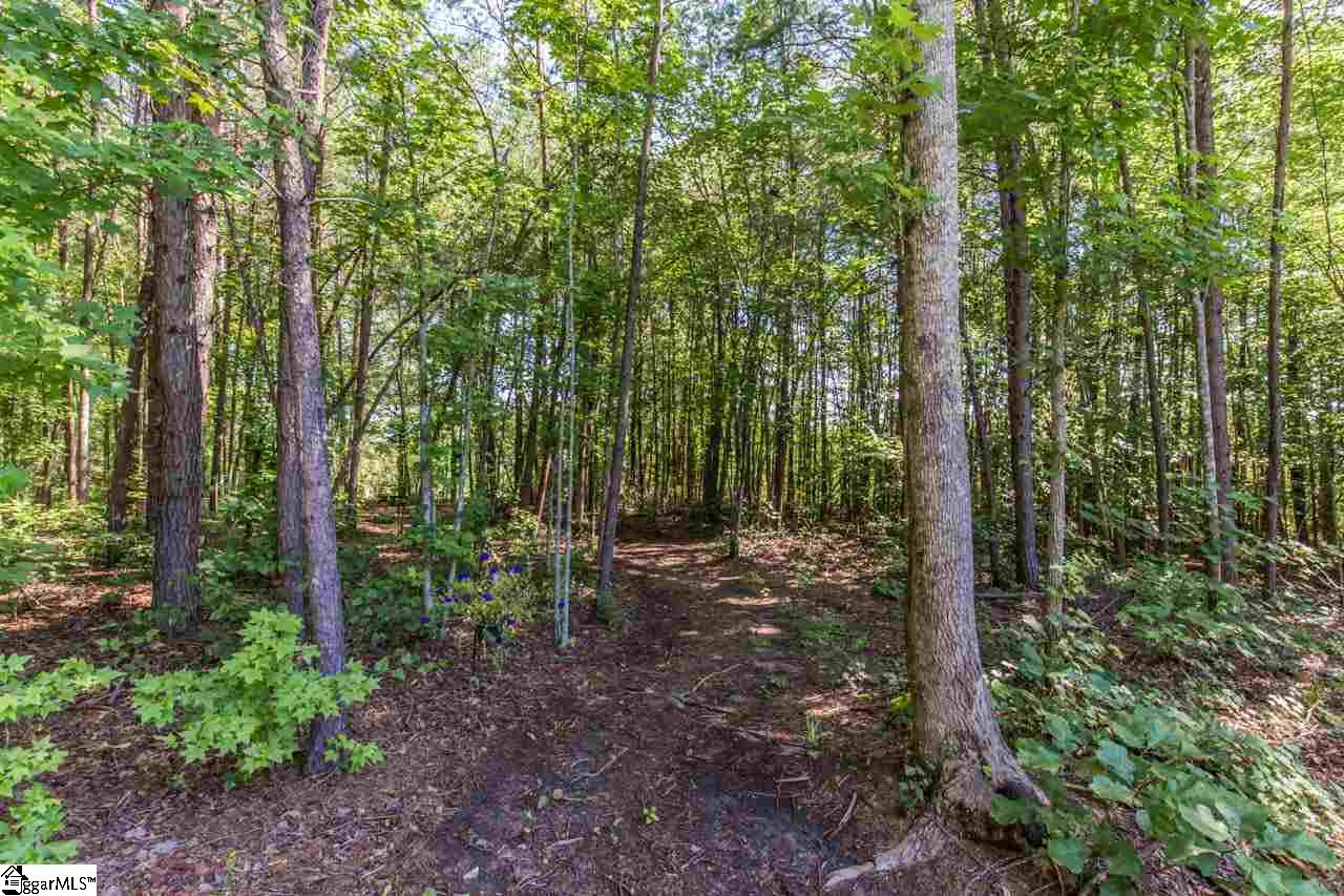 4448 South King Road Greer, SC 29651 - Photo 22 of 30