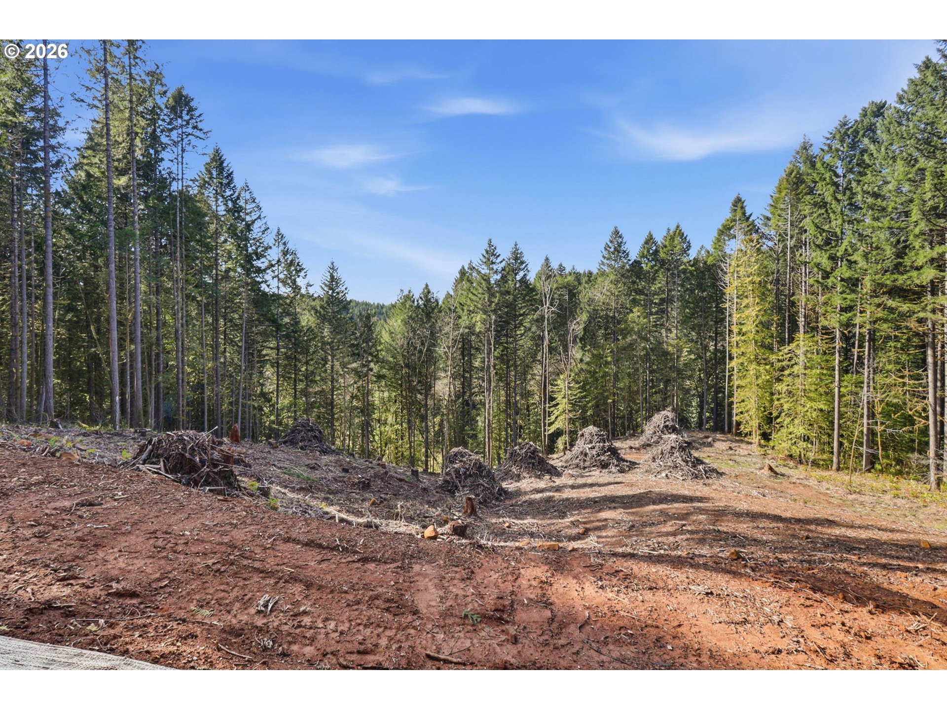 0 Northwest Green Mountain Road, Unit 1 Banks, OR 97106 - Photo 6 of 39 a view of a yard with mountain view