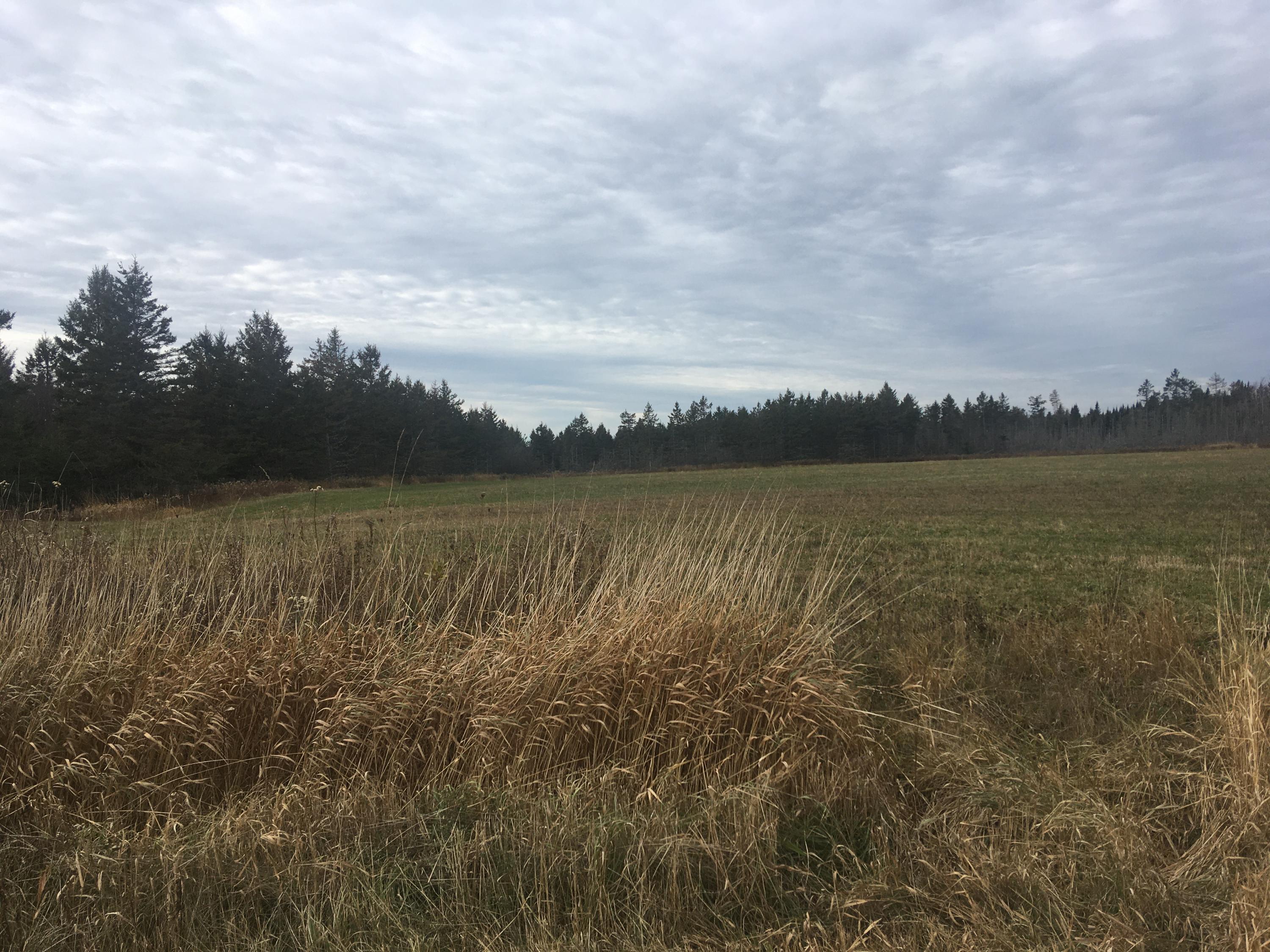 70-ac South Maple Road Brimley, MI 49715 - Photo 1 of 6 Gallery Image 1