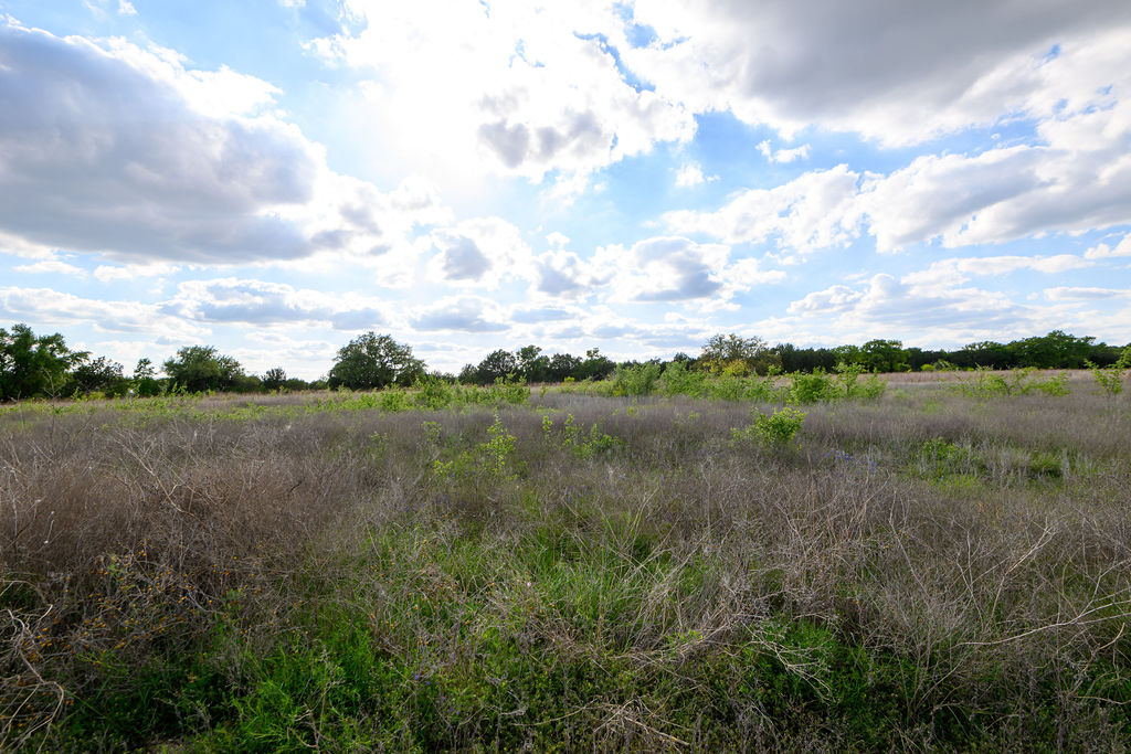 177 West Rio Ranch Road Liberty Hill, TX 78642 - Photo 21 of 30 a view of a lake from a yard