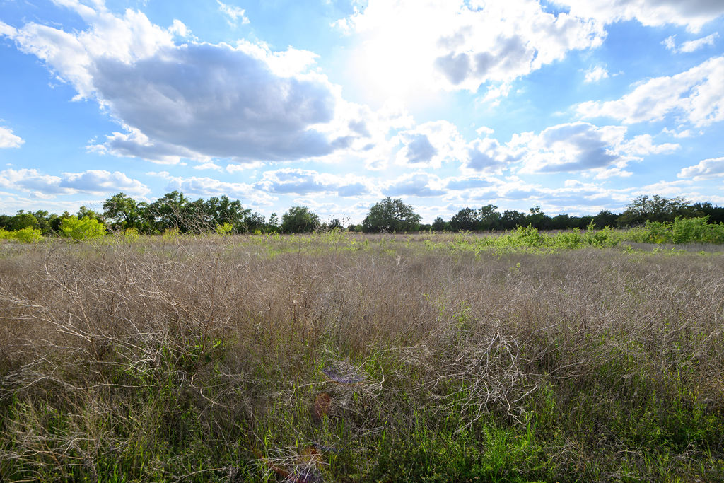 177 West Rio Ranch Road Liberty Hill, TX 78642 - Photo 22 of 30 a view of lake with green space