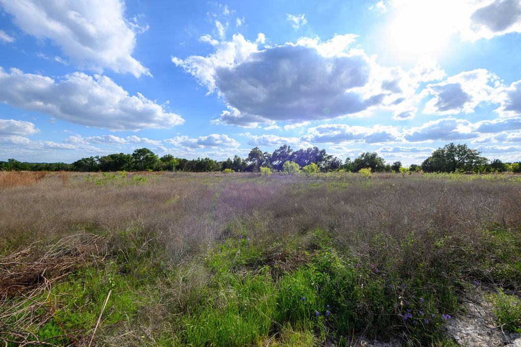 177 West Rio Ranch Road Liberty Hill, TX 78642 - Photo 23 of 30