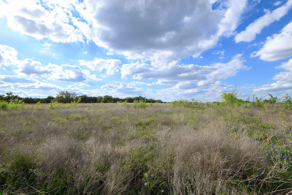177 West Rio Ranch Road Liberty Hill, TX 78642 - Photo 25 of 30 a view of lake and mountain