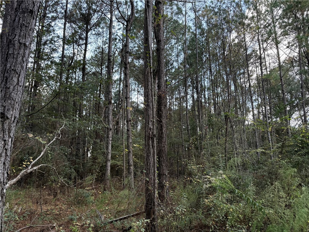 7532 Central Avenue Waycross, GA 31503 - Photo 39 of 54