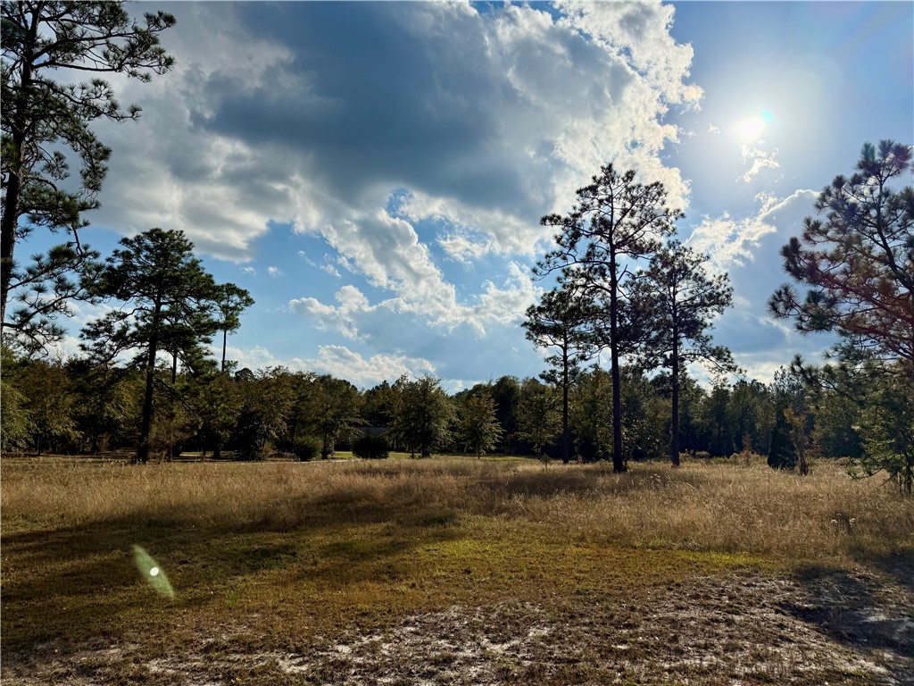 7532 Central Avenue Waycross, GA 31503 - Photo 41 of 54