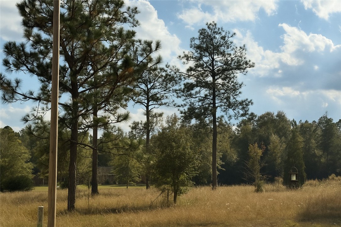 7532 Central Avenue Waycross, GA 31503 - Photo 42 of 54