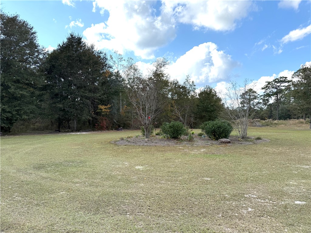 7532 Central Avenue Waycross, GA 31503 - Photo 44 of 54