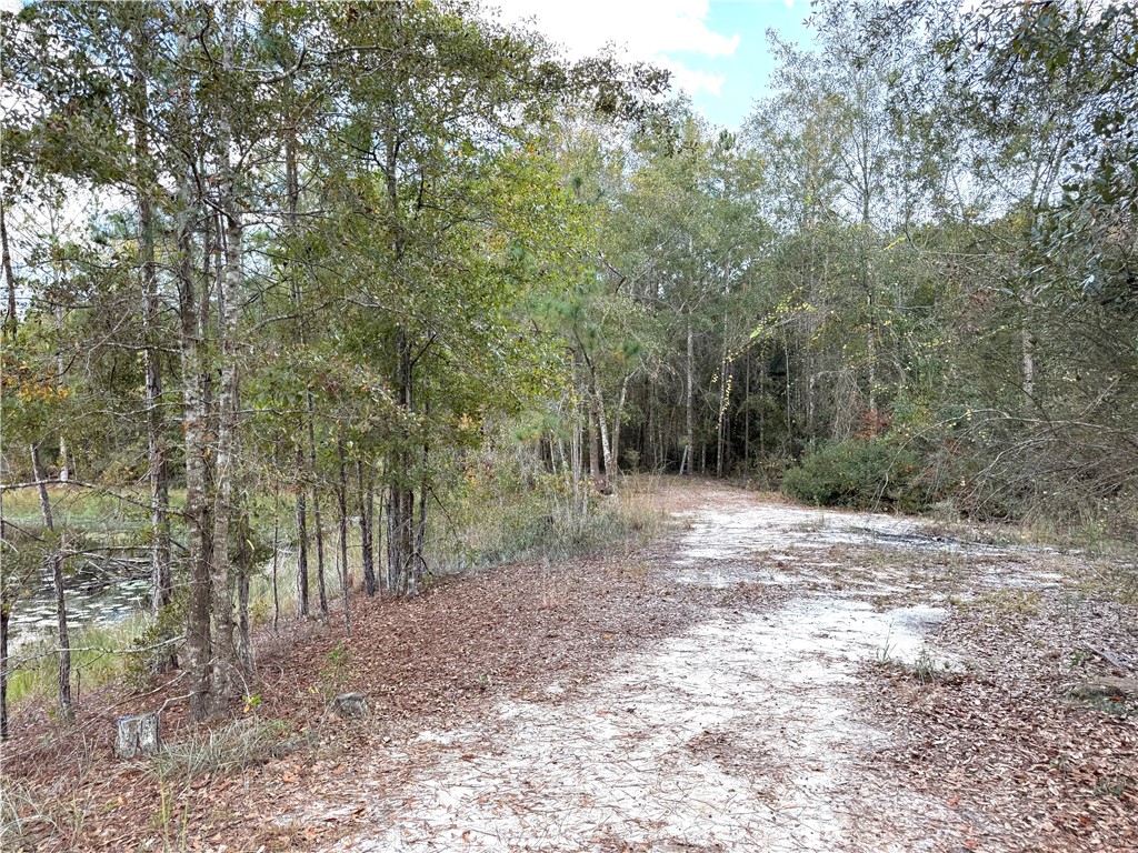 7532 Central Avenue Waycross, GA 31503 - Photo 46 of 54