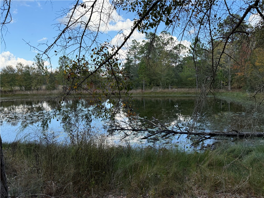 7532 Central Avenue Waycross, GA 31503 - Photo 47 of 54